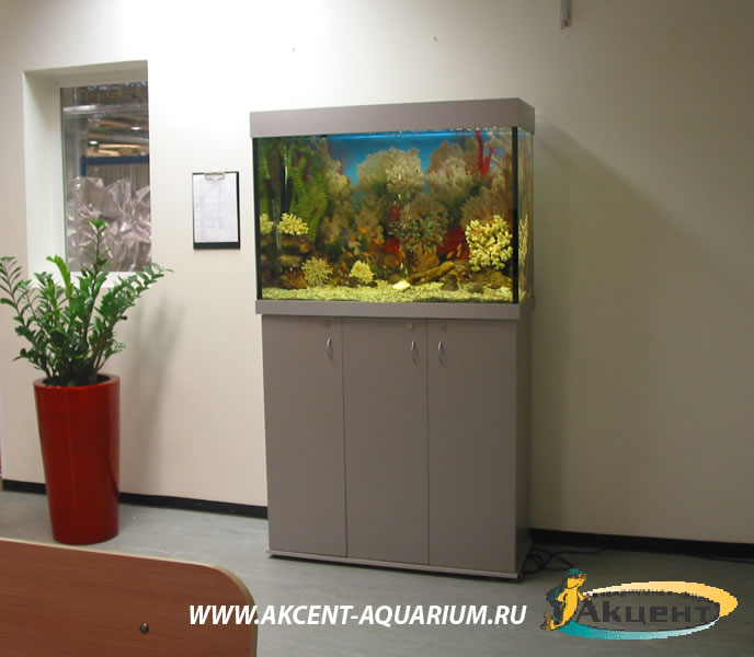 Акцент-аквариум,аквариум 240 литров в комнате отдыха